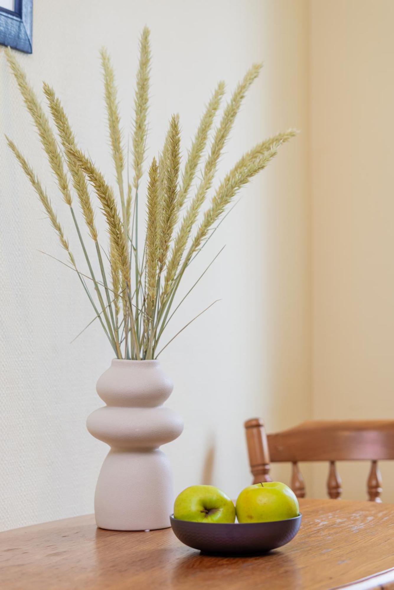 Family Inn Cottage With Terrace パランガ エクステリア 写真